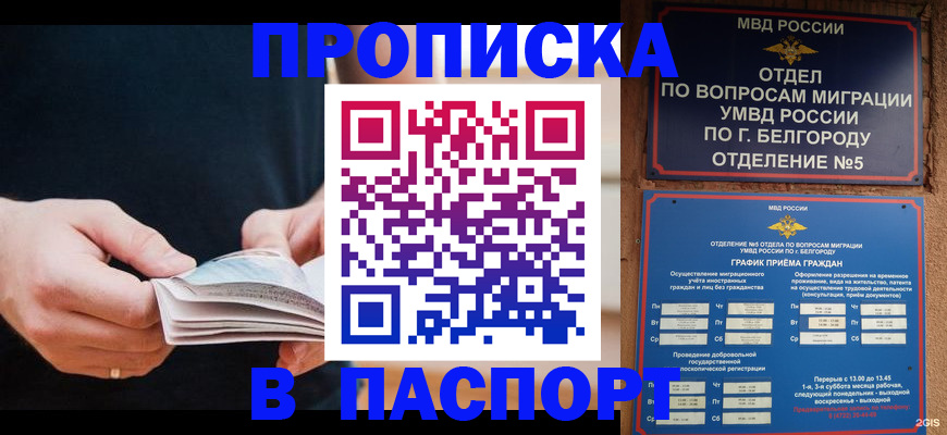 временная регистрация в Кургане